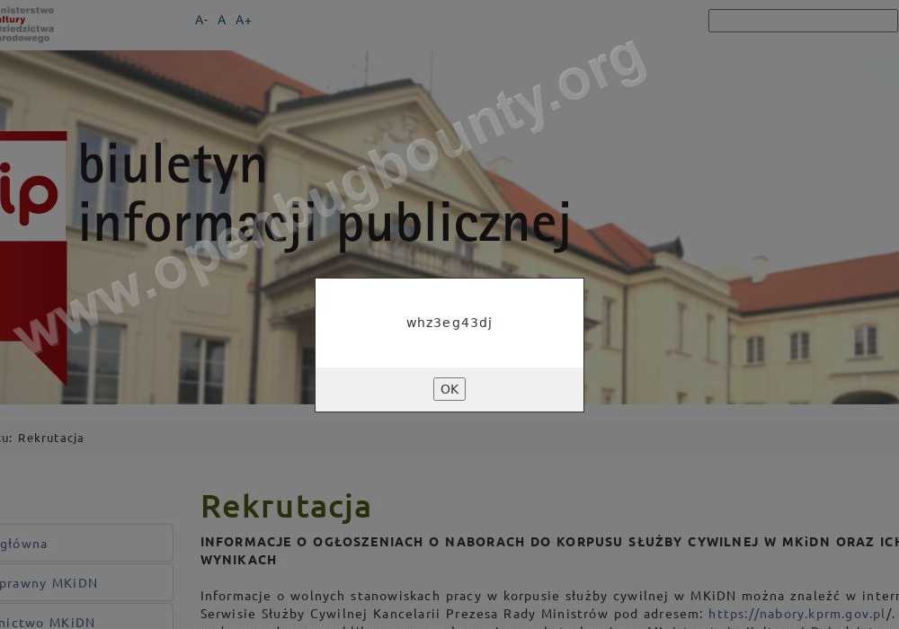 bip.mkidn.gov.pl  vulnerability