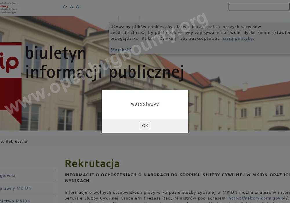 bip.mkidn.gov.pl  vulnerability