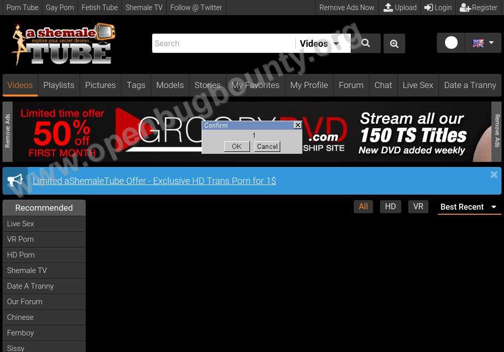 ashemaletube.com Cross Site Scripting Vulnerability Report ID: OBB-844790 
